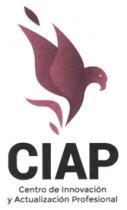 CIAP CENTRO DE INNOVACIÓN Y ACTUALIZACIÓN PROFESIONAL