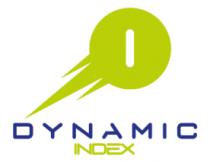 DYNAMIC INDEX