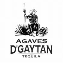 AGAVES D'GAYTAN