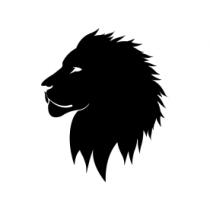 OUT OF CONTEXT LION