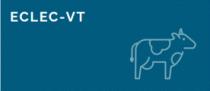 ECLEC-VT