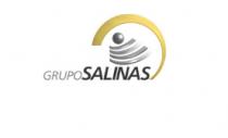GRUPO SALINAS