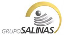 GRUPO SALINAS