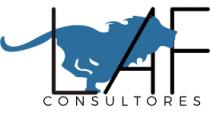 LEYVA ALVAREZ FISCALISTAS Y ASOCIADOS SC