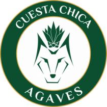 CUESTA CHICA AGAVES