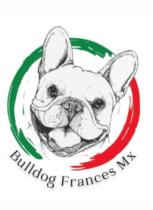 BULLDOG FRANCES MX