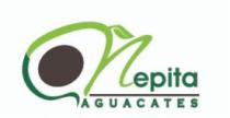 NEPITA AGUACATES