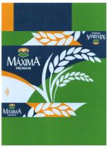 MÁXIMA PREMIUM