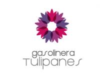 GASOLINERA TULIPANES