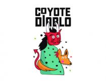 COYOTE DIABLO
