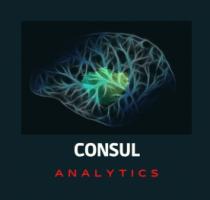 CONSUL ANALYTICS