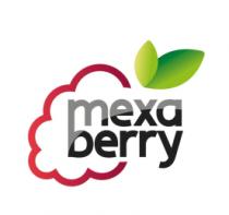 MEXA BERRY