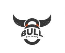 BULL TRAINING