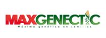 MAX GENECTIC - MAXIMA GENETICA EN SEMILLAS
