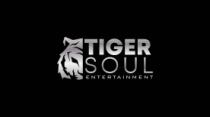 TIGER SOUL ENTERTAINMENT