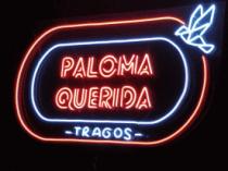 PALOMA QUERIDA TRAGOS