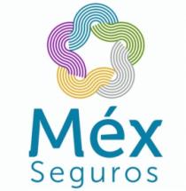 MÉX SEGUROS