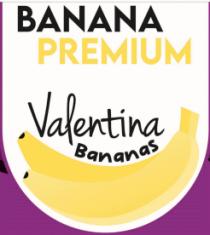 BANANA PREMIUM VALENTINA BANANAS
