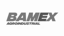 BAMEX AGROINDUSTRIAL