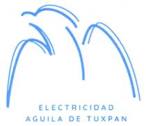 ELECTRICIDAD AGUILA DE TUXPAN
