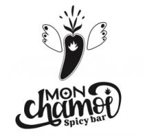 MON CHAMOI