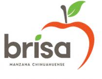 BRISA