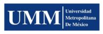 UMM UNIVERSIDAD METROPOLITANA DE MEXICO