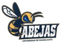 ABEJAS UNIVERSIDAD DE GUANAJUATO