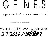 GENES