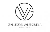 GV ASOCIADOS
