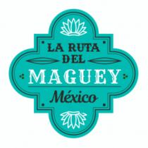 LA RUTA DEL MAGUEY