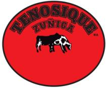 TENOSIQUE ZUÑIGA