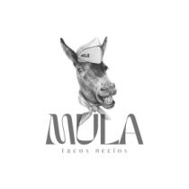 MULA TACOS NECIOS