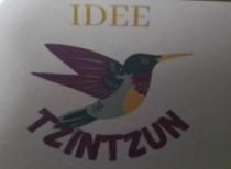 IDEE TZINTZUN