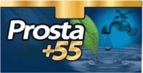PROSTA +55