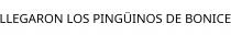 LLEGARON LOS PINGÜINOS DE BONICE