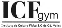 ICFGYM DE CD. VALLES