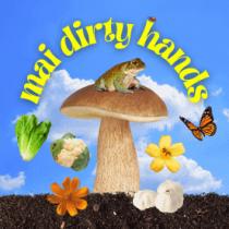 MAI DIRTY HANDS
