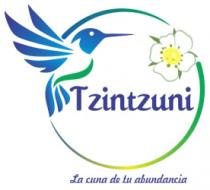 TZINTZUNI