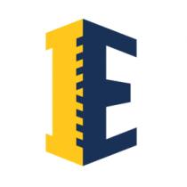 INTELIGENCIA EMPRESARIAL