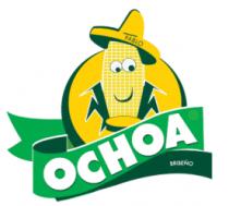 PABLO OCHOA BRISEÑO