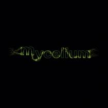 MYCELIUM