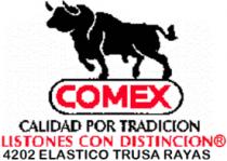 4202 ELASTICO TRUSA RAYAS