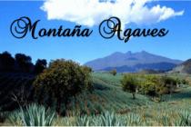 MONTAÑA AGAVES