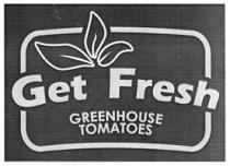 GET FRESH GREENHOUSE TOMATOES