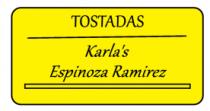 TOSTADAS KARLA´S ESPINOZA RAMIREZ