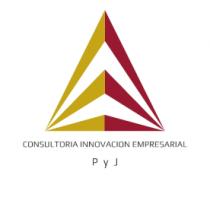 CONSULTORIA INNOVACION EMPRESARIAL P Y J
