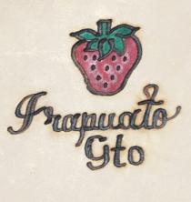 RECUERDO DE IRAPUATO GTO