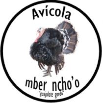 AVÍCOLA MBER NCHO'O 