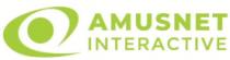 AMUSNET INTERACTIVE